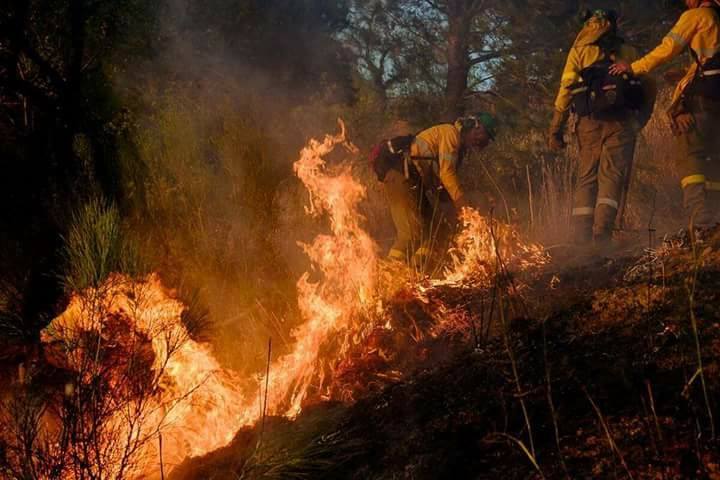 bomberos
