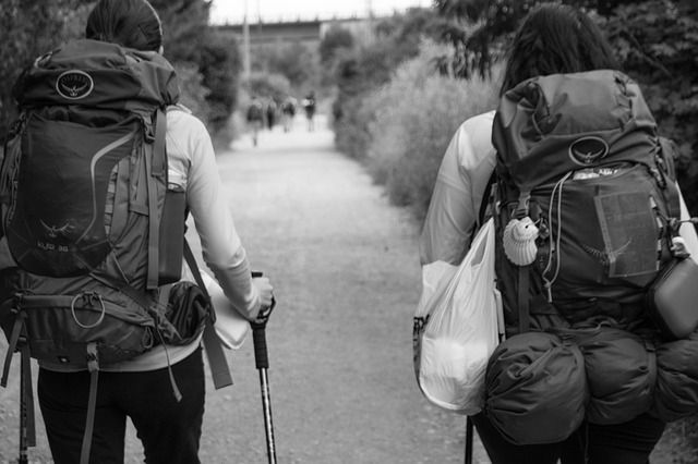 camino de Santiago
