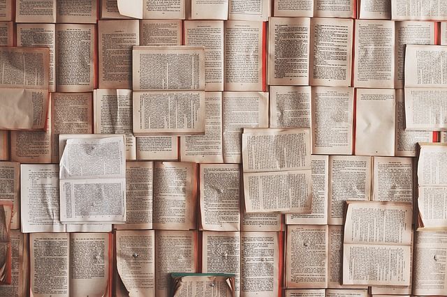libros, novela