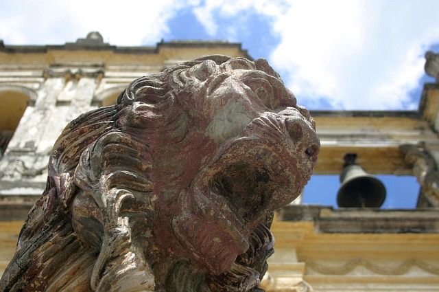 león América Latina