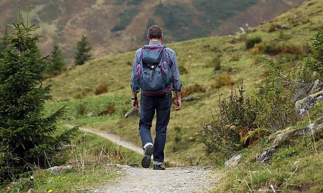camino