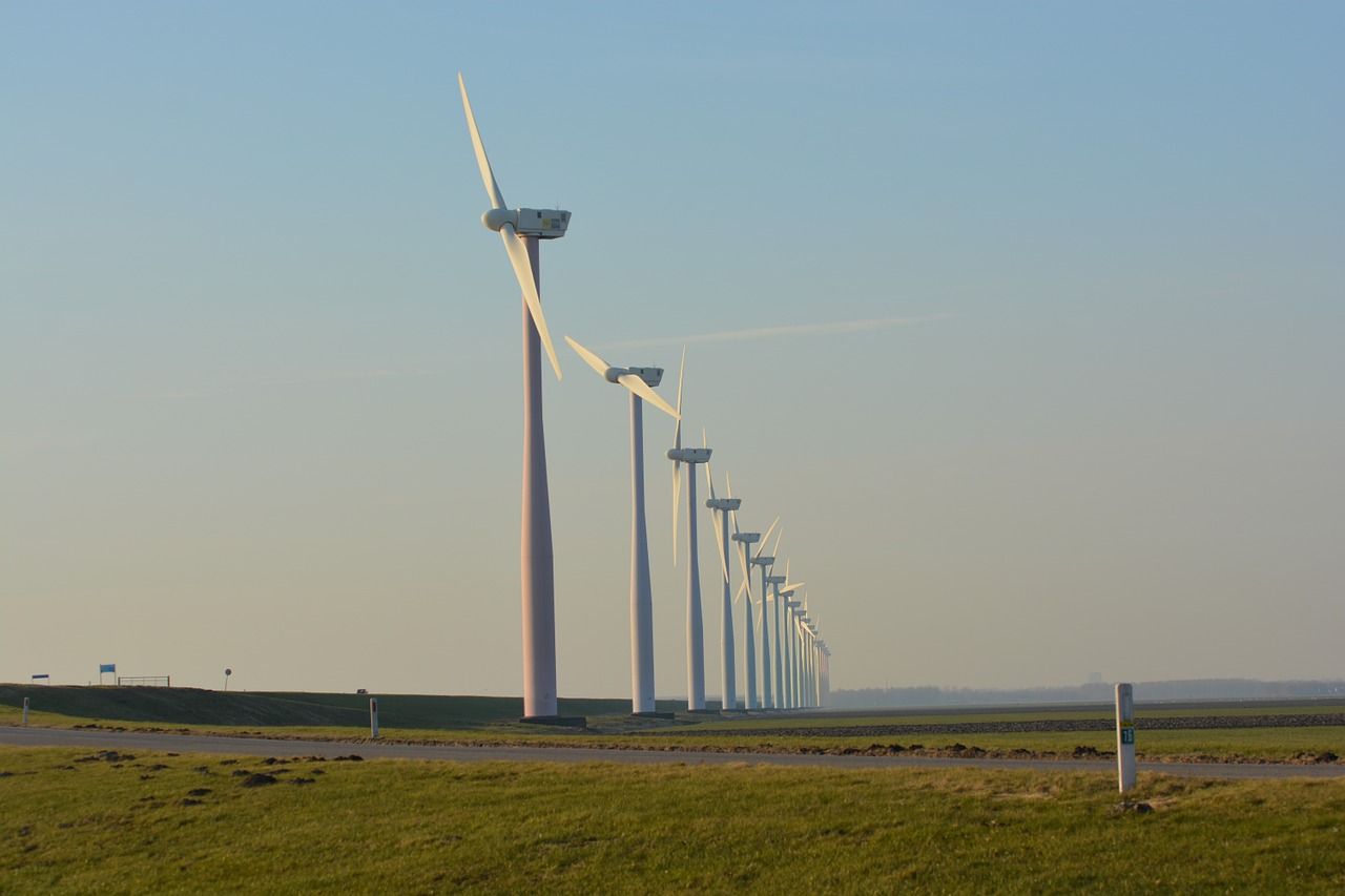 nature-678376_1280.jpg