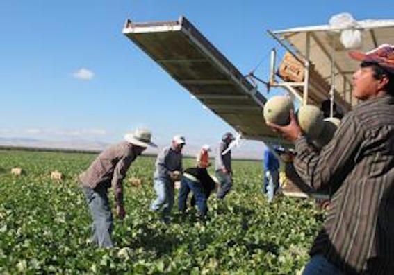 Regularizar para trabajar: la arquitectura jurídica de un país que ya estaba ahí
