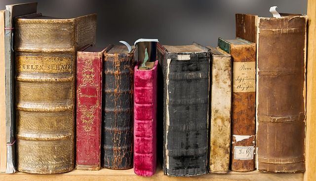 Literatura y democracia: la gran paradoja española. Libros