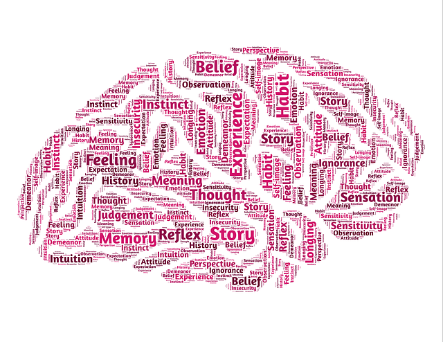 psychology-544405_640.png