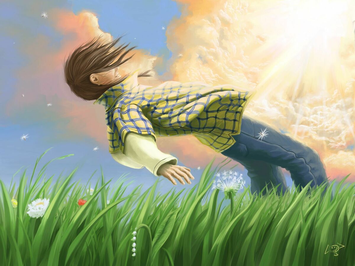 Quien quita el riesgo, quita la caída