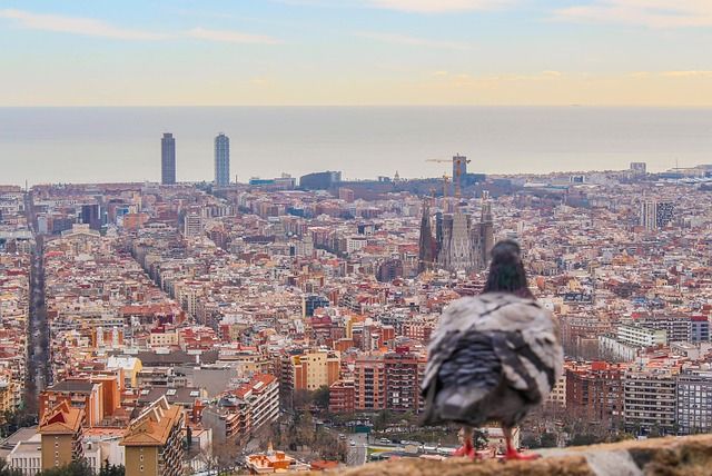 barcelona-3875944_640