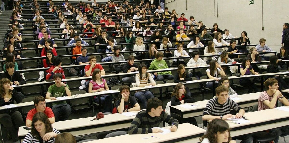 universitarios universitarios
