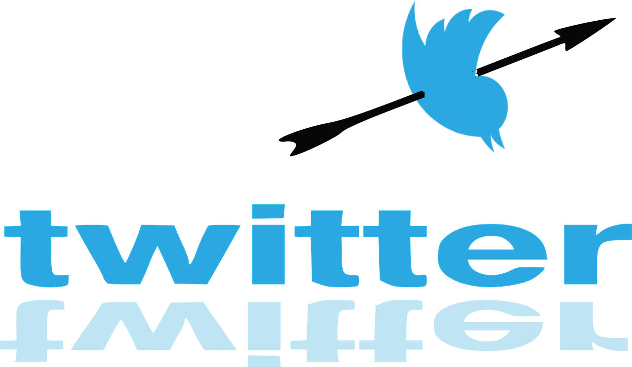 twitter-720977_1280.png