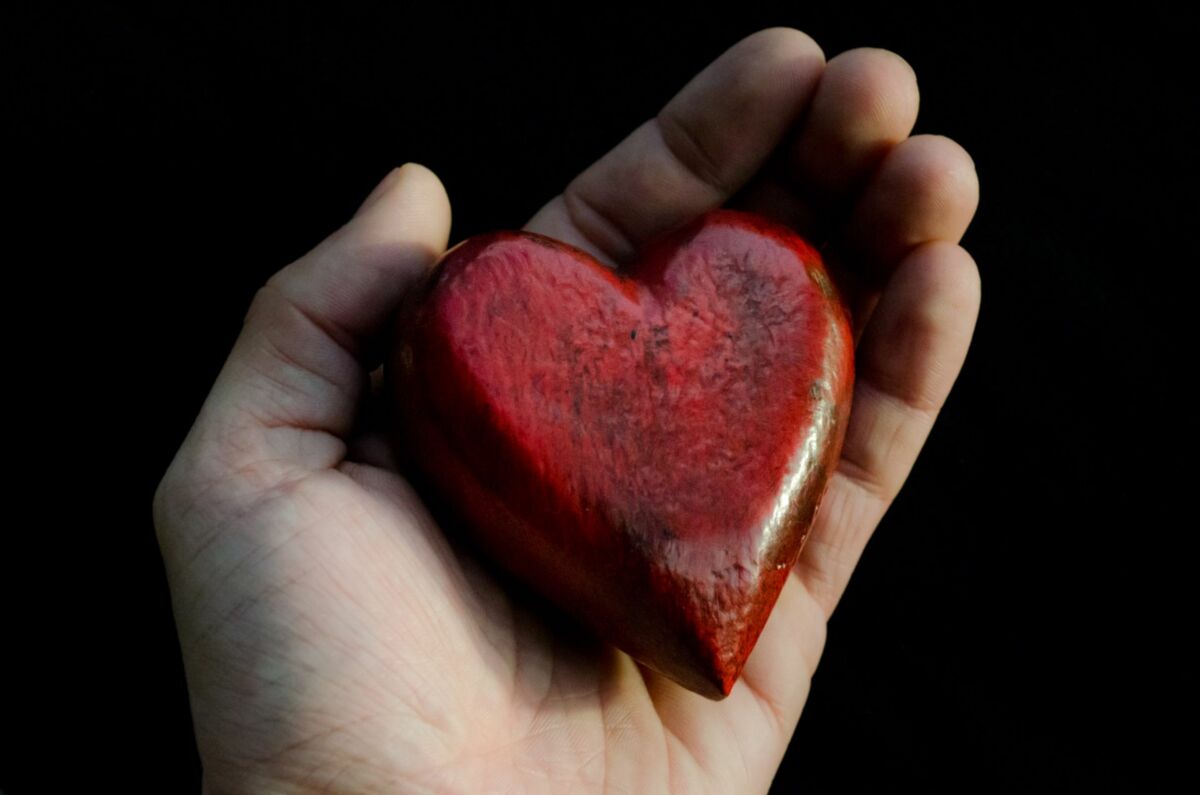 Proteger la vida siempre. Corazón a corazón todo se hermana