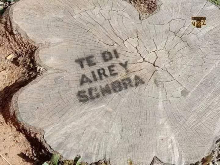 541f2daf-b510-4f13-b03c-b787edf0e888