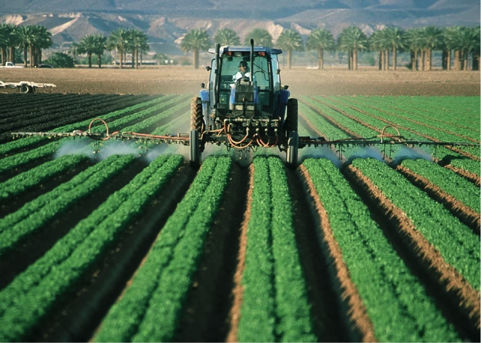 campo agricultura