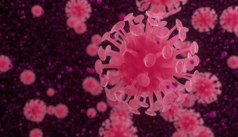 Coronavirus Imagen Microscopio