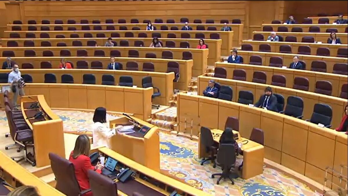 Senado