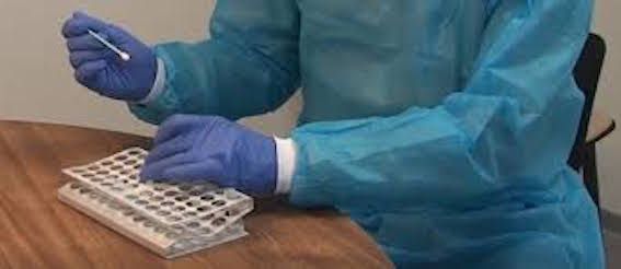 PCR
