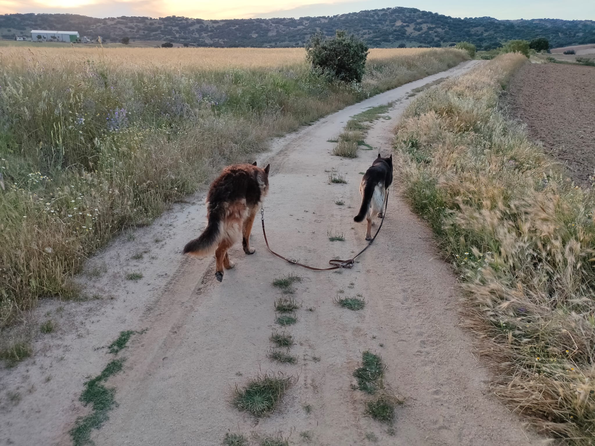 Autor foto Gonzalo Osés Para el artículo aplanar la curva de el odio de Gonzalo Osés