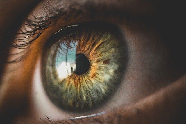 ojo