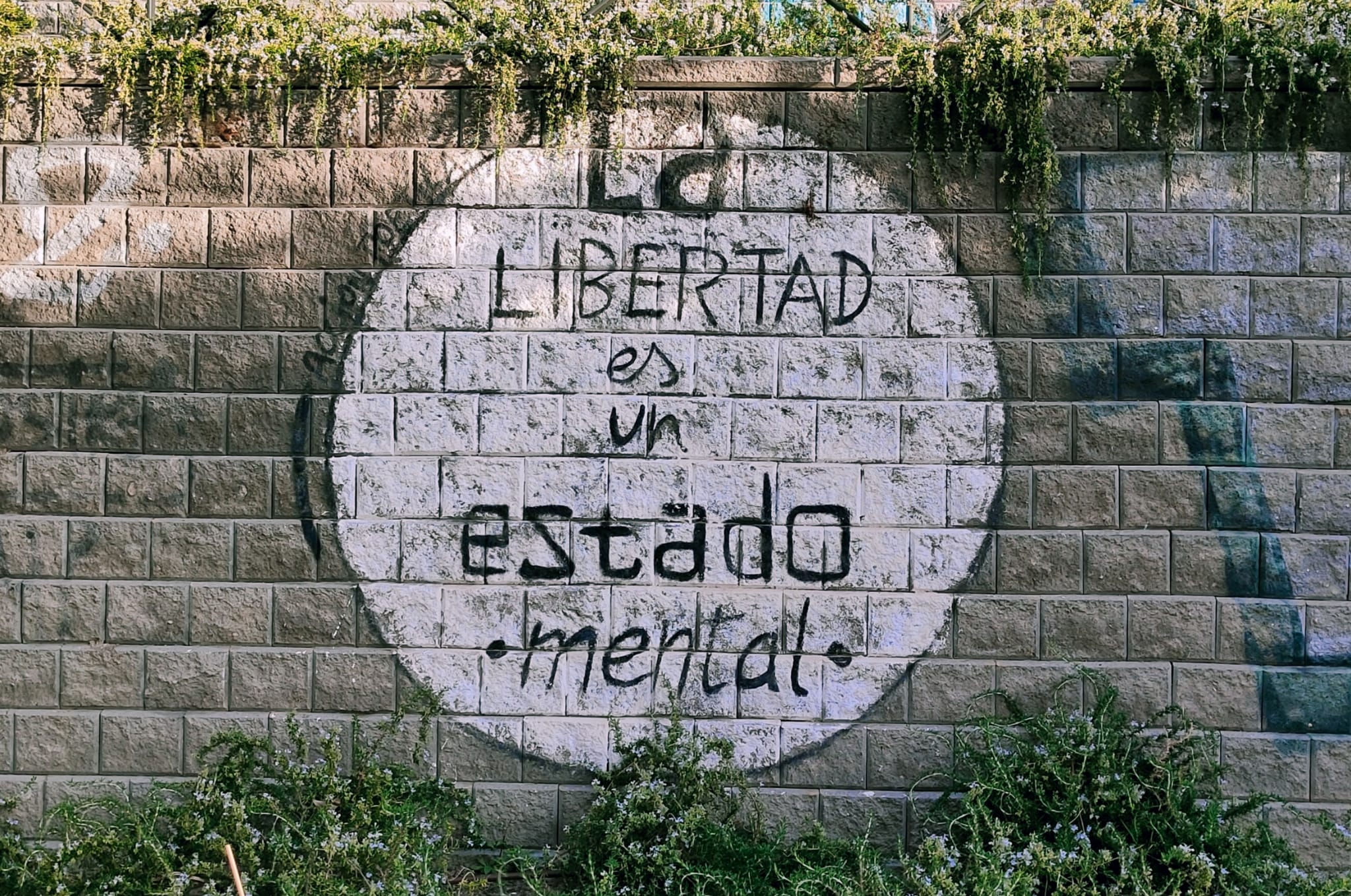 980ddbe2-cceb-4c3b-a6cb-db558678fba2