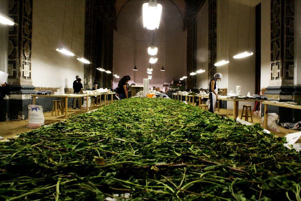 Drogas Marihuana