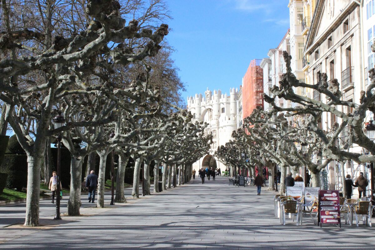 Paseo-del-Espolón