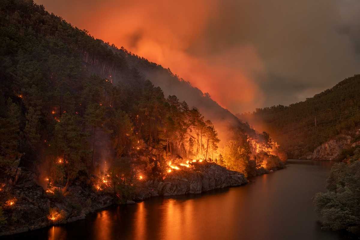 Extremadura paga la factura de la política forestal del PP