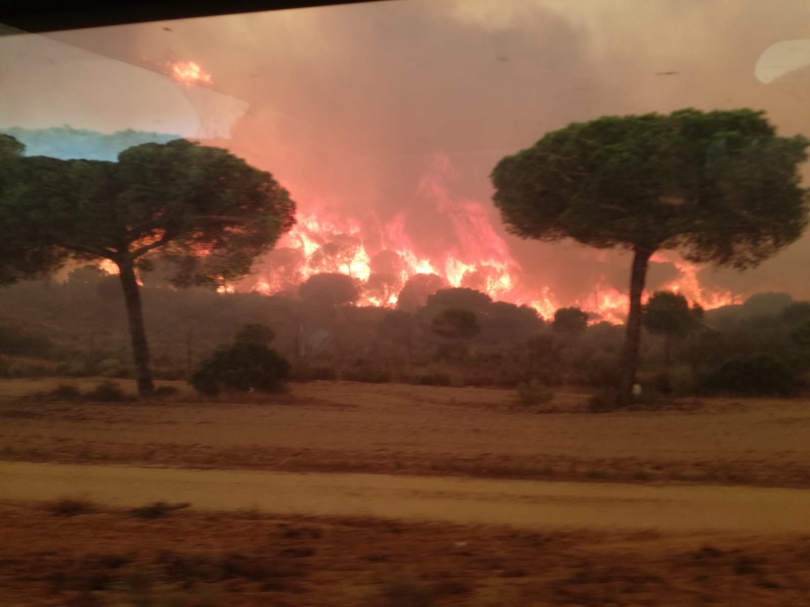 Fuego fatuo (IV)