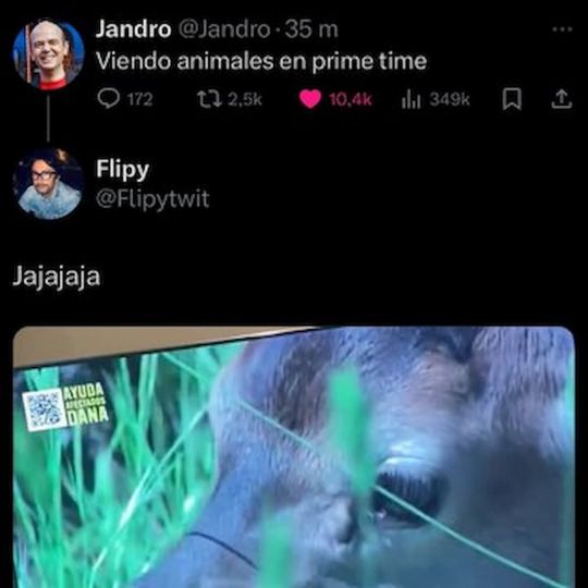 Tuit Jandro (1) Tuit Jandro (1)