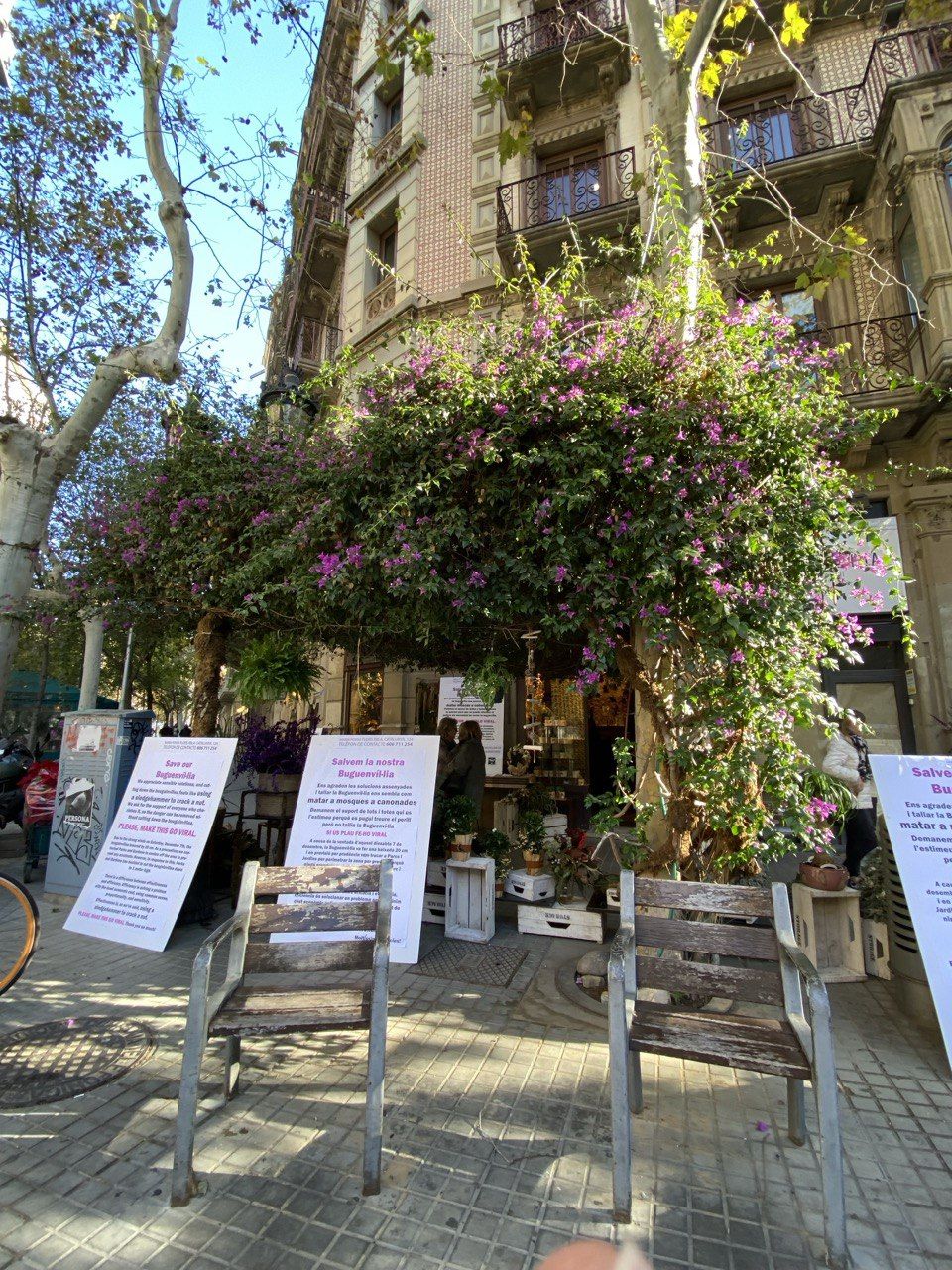 floristería floristería