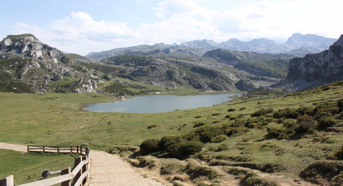 Los resultados de la investigación sugieren que la Red Natura 2000 es mucho más eficiente en la Región de Murcia o La Rioja que en Asturias o Andalucía. | Foto: Pexels