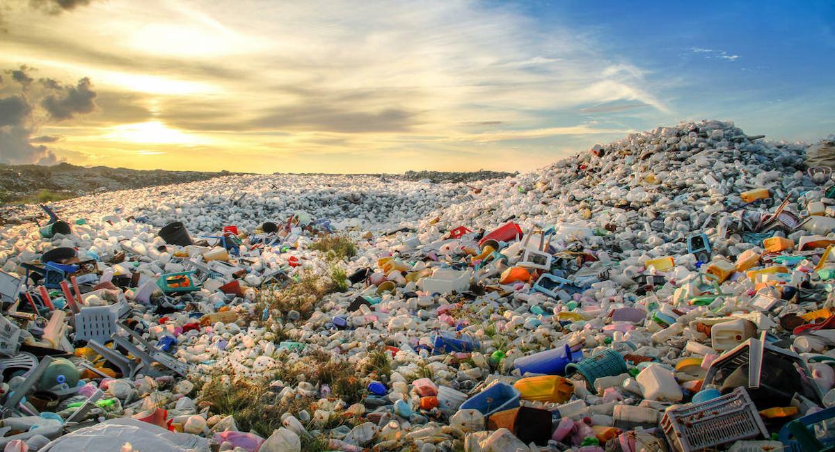 La recogida selectiva de los residuos domésticos en Castilla y León se limitó en 2022 al 16 % de los producidos, según el Ministerio para la Transición Ecológica. | Foto: Ecologistas en Acción
