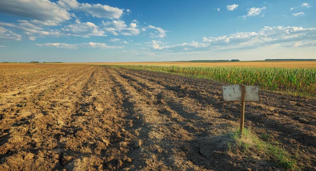 El nuevo índice de riesgo representa un avance en la identificación y mitigación de los riesgos asociados a la gestión del carbono del suelo. | Foto:  indyntk - stock.adobe.com