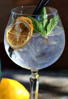 gin tonic