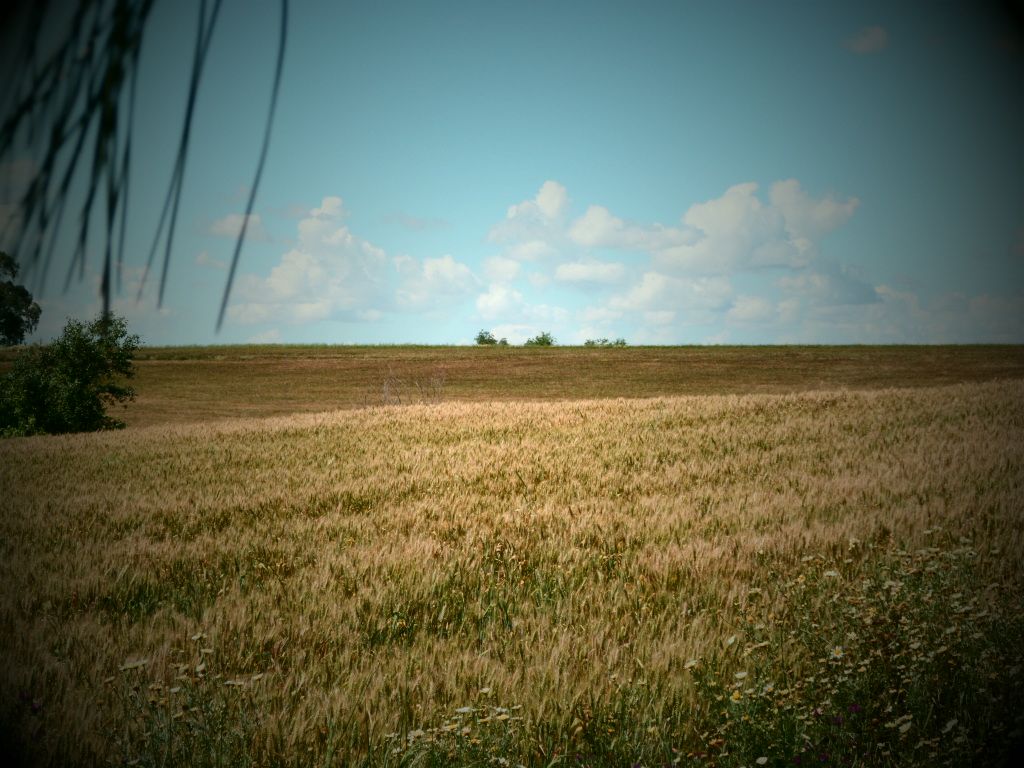Tierras raras ensangrentadas