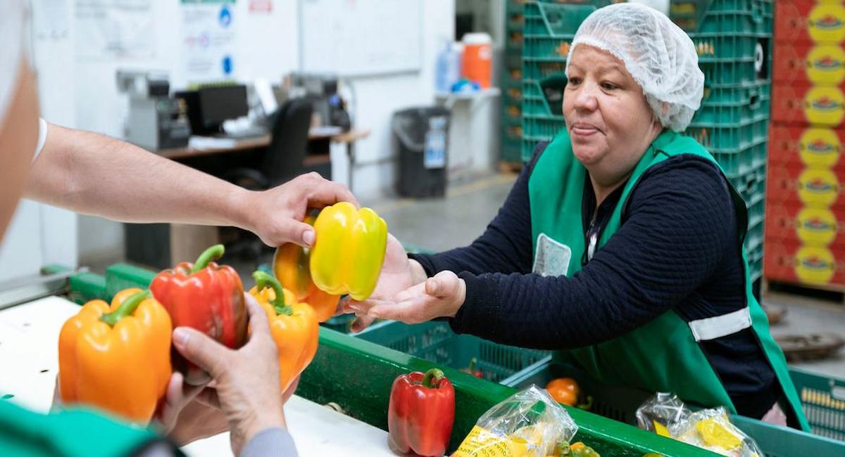 Identificar adecuadamente las diferencias en la exposición a riesgos laborales entre mujeres y hombres es una de los objetivos del nuevo informe de la Organización Internacional del Trabajo (OIT). | Foto: OIT/BMF Media