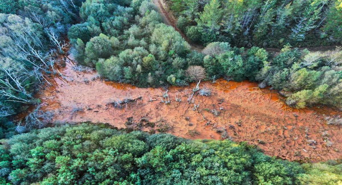 Las organizaciones denuncian que los proyectos seleccionados presentan numerosas irregularidades y riesgos ambientales y sociales. | Foto: Ecologistas en Acción