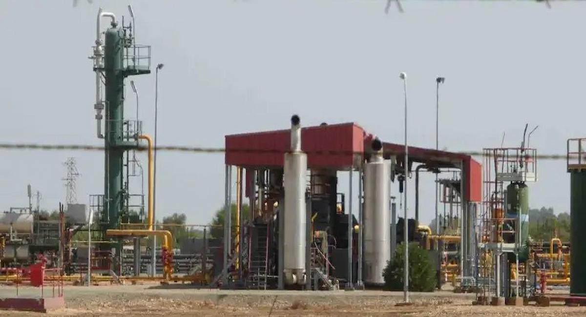 La plataforma Salvemos Doñana considera "una temeridad" por parte del Gobierno de Pedro Sánchez "crear una nueva amenaza para el espacio protegido de Doñana y sus acuíferos.