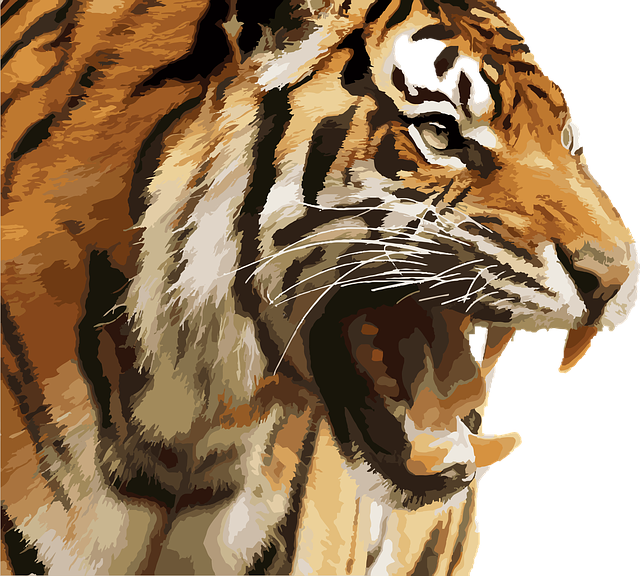 Me deben los tigres la longitud de sus bigotes