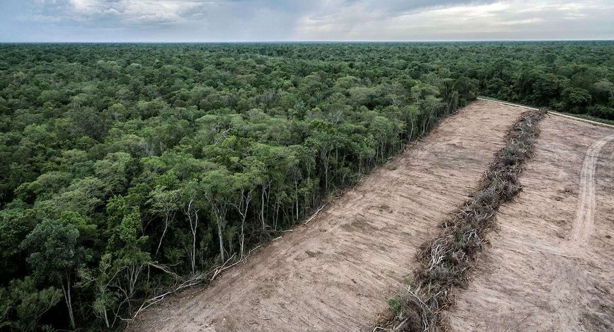 Una de las principales causas de la deforestación en Bolivia es la expansión de la agricultura mecanizada. | Foto: Climate Visuals Countdown/Marcelo Perez del Carpio