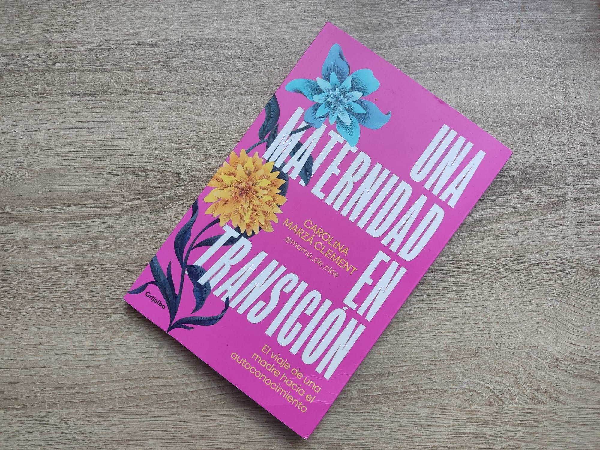 UNA MATERNIDAD EN TRANSICIÓN
