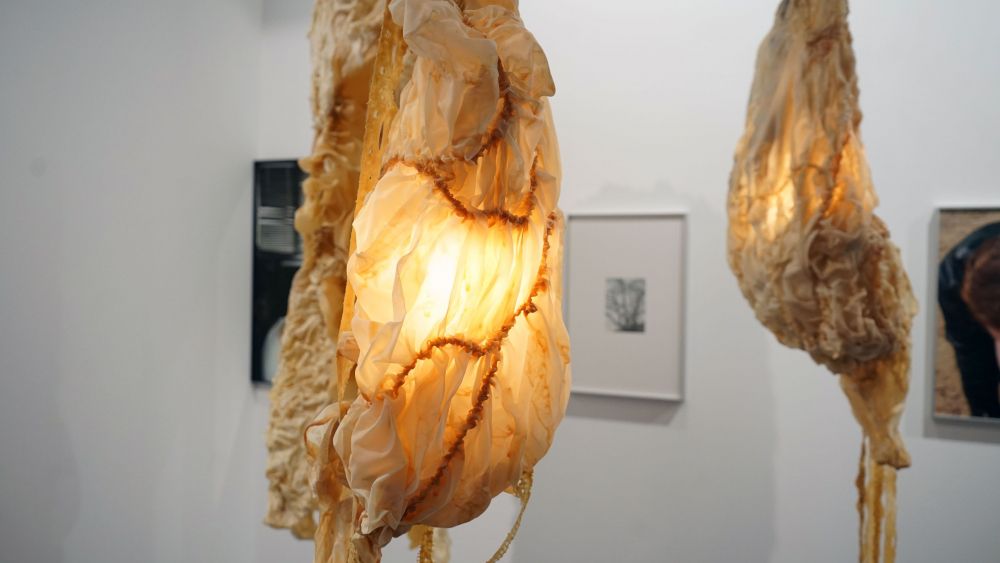 Arco 2025, foto Agustín Millán Arco 2025, foto Agustín Millán