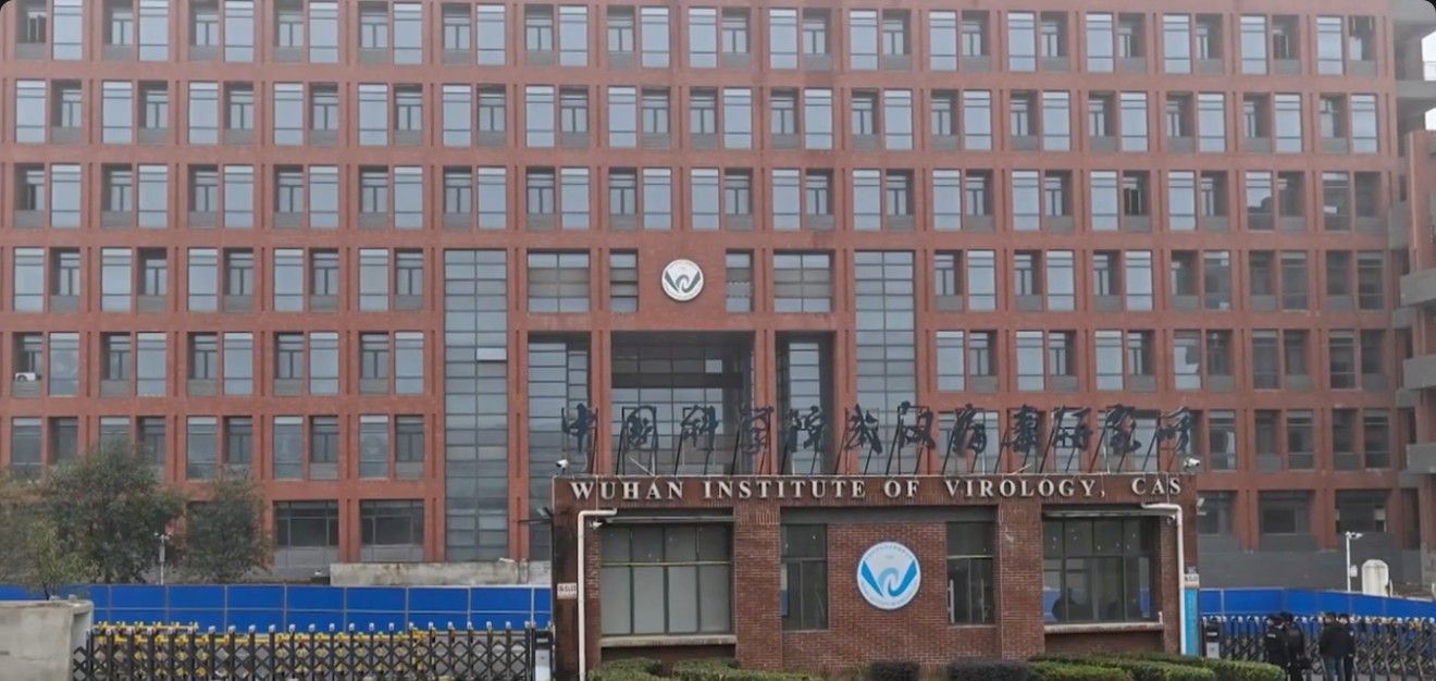 Wuhan 01