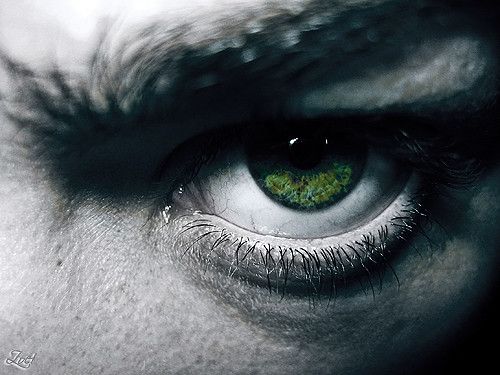 Como la mirada genocida