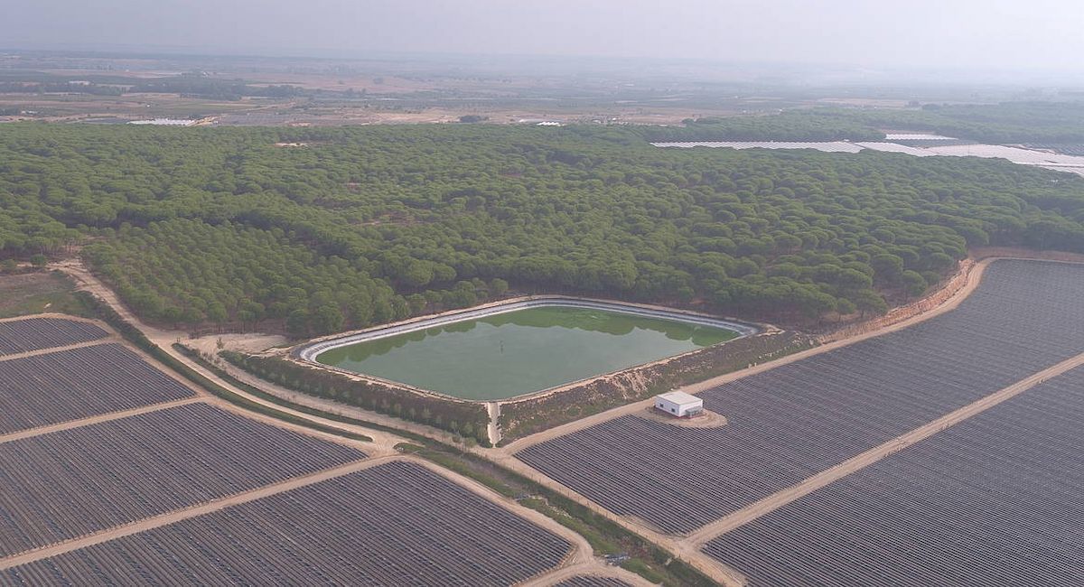 Balsas de riego en el entorno de Doñana. | Foto: WWF
