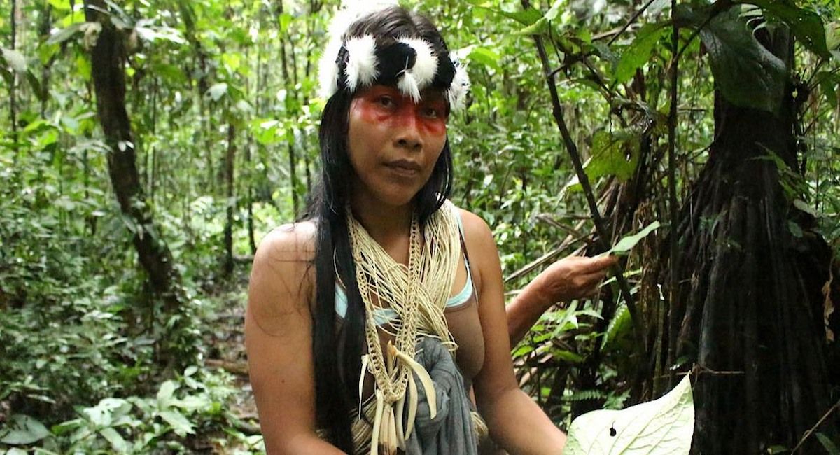 La fiebre minera también afecta a los Waorani, Waodani o Huaorani, también conocidos como los Waos, son un pueblo indígena de la región amazónica de Ecuador que presenta marcadas diferencias con otros grupos étnicos de Ecuador. | Foto: Daniela Aguilar La fiebre minera también afecta a los Waorani, Waodani o Huaorani, también conocidos como los Waos, son un pueblo indígena de la región amazónica de Ecuador que presenta marcadas diferencias con otros grupos étnicos de Ecuador. | Foto: Daniela Aguilar