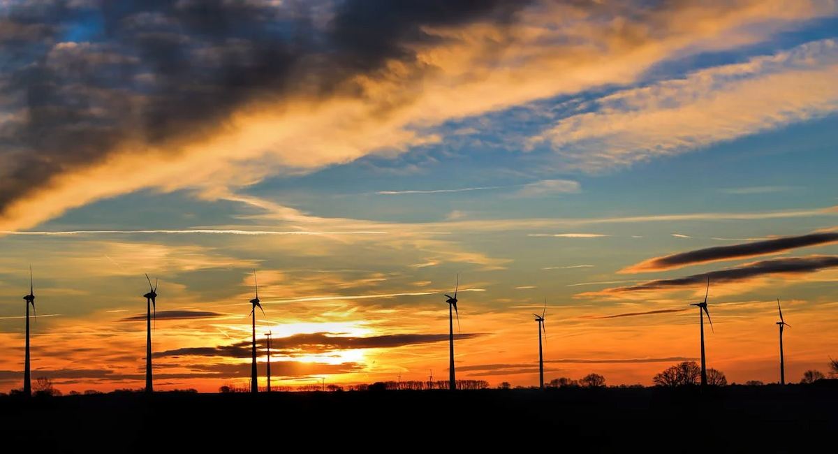 Regenerar la tierra, para ascender al cielo | Foto: pexels