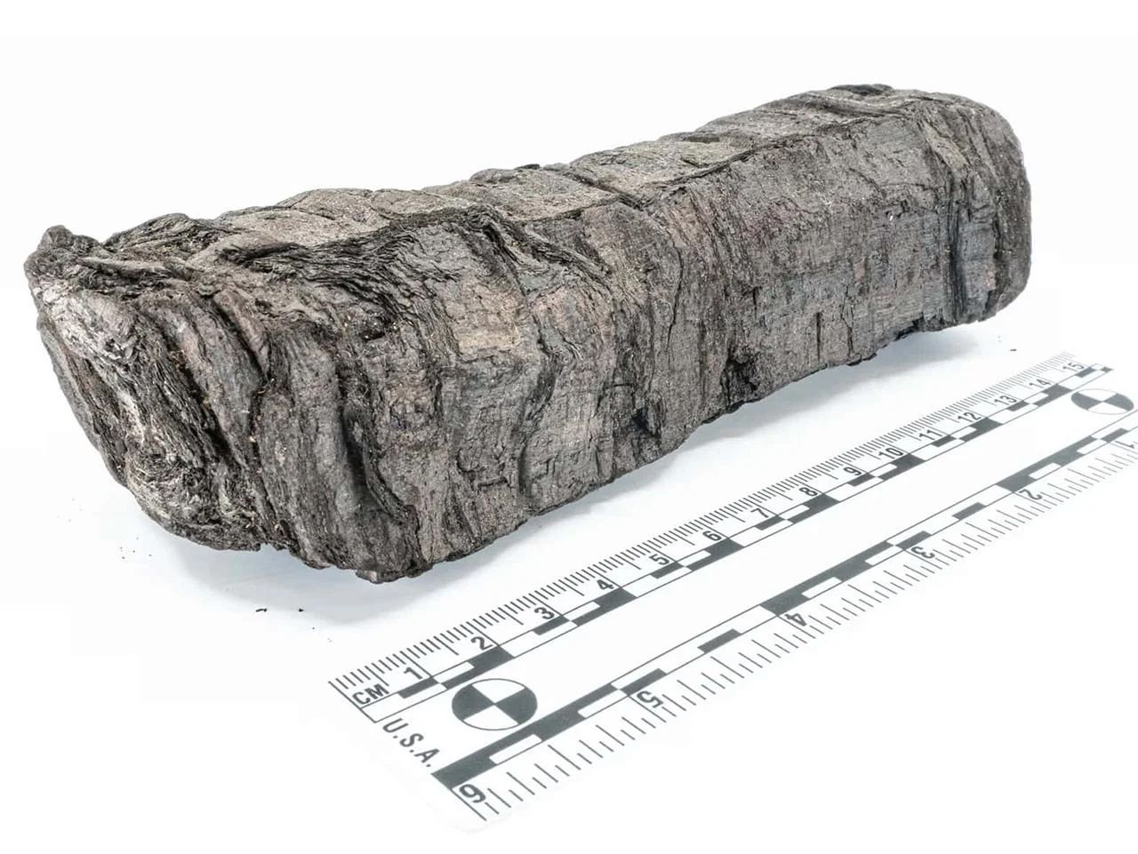 La inteligencia artificial resucita voces perdidas del Imperio romano