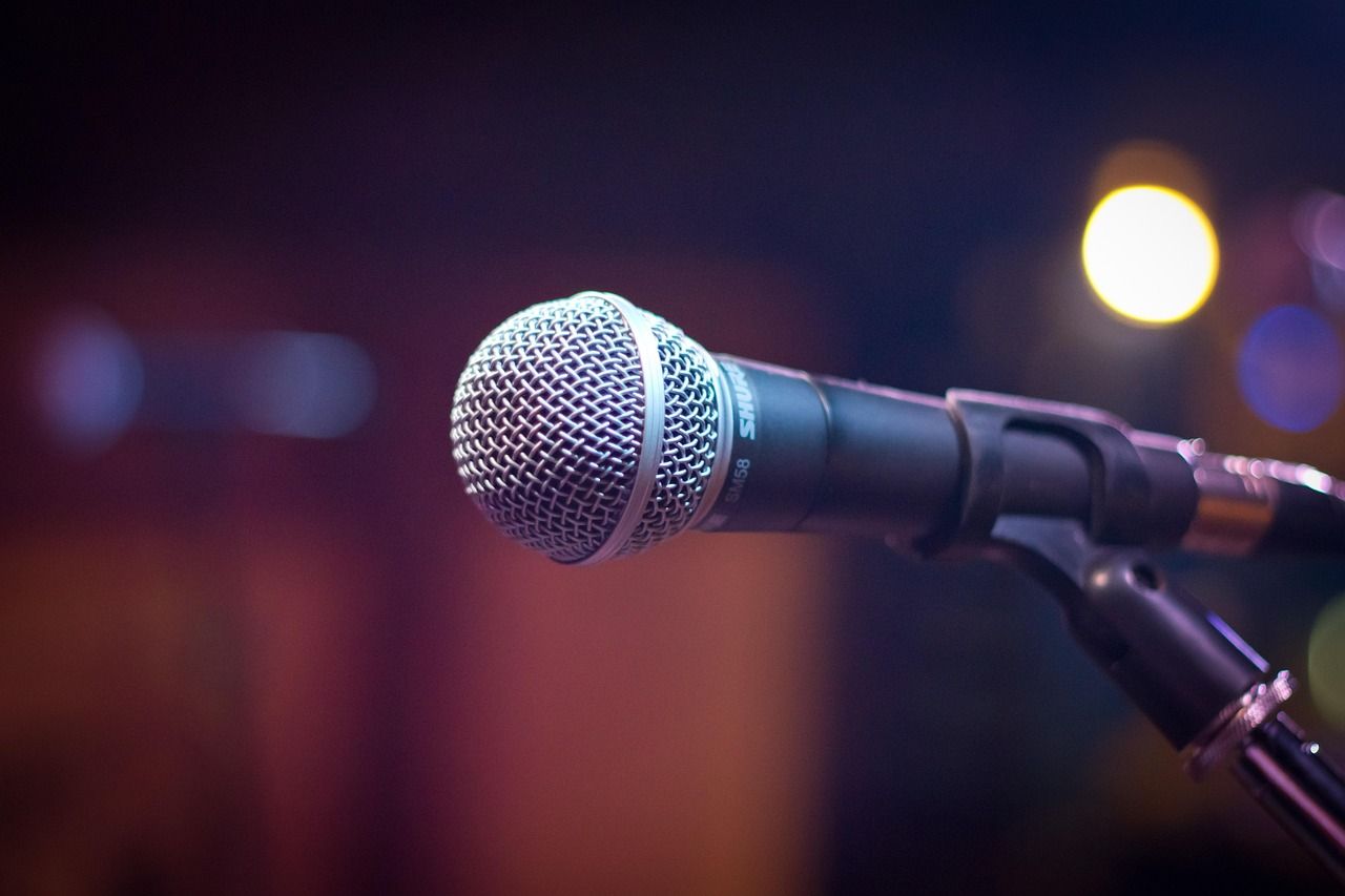 Qué fue de los cantautores. Micrófono