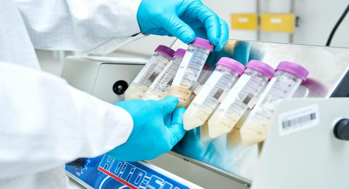 Según el JRC, existía una gran necesidad de establecer un estándar internacional para las pruebas de laboratorio médicas para la enfermedad celíaca. | Foto: UE