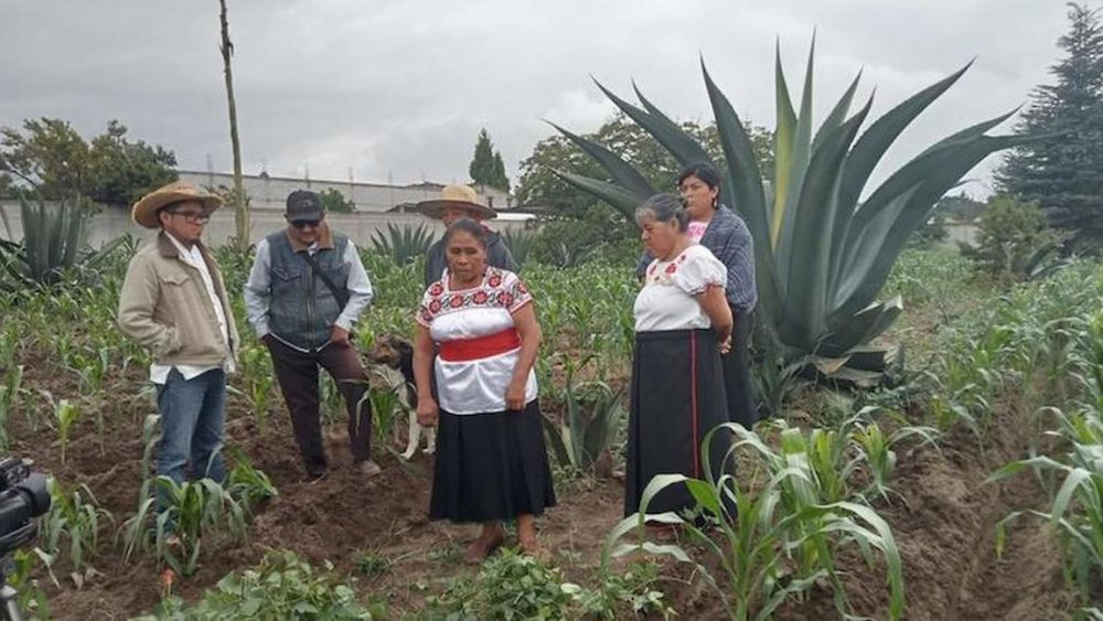 Foto: GIAHS/ Mexico, Meteplante.