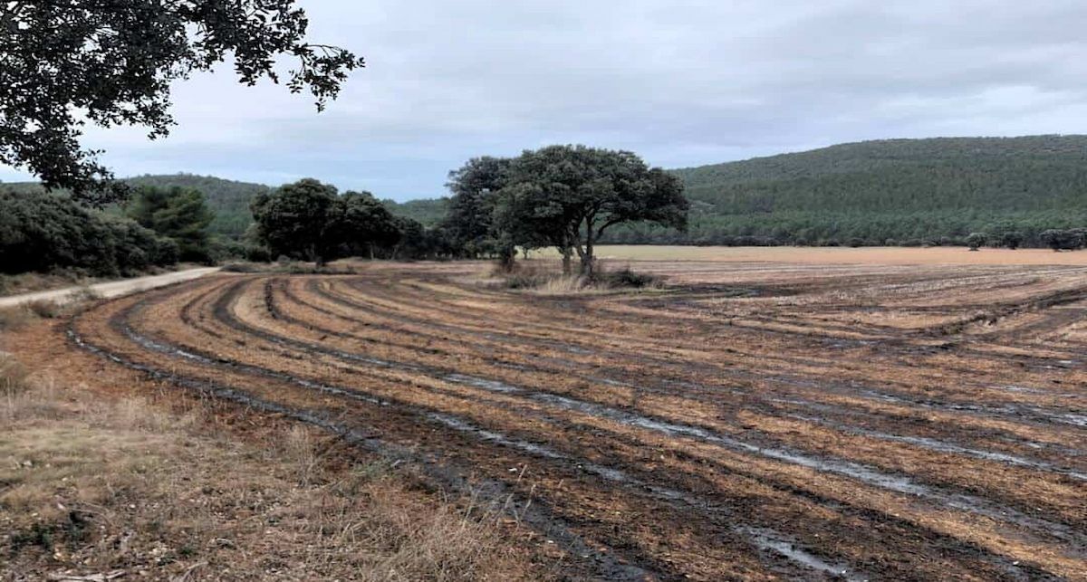 Vertido de digestatos sin enterrar en Ólvega (Soria). | Foto: Ecologistas en Acción